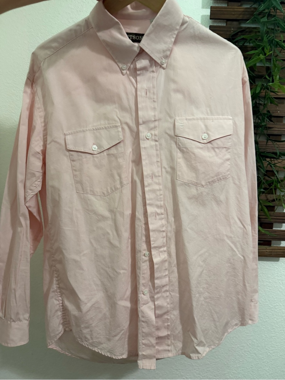 Men's Light Pink Button-Down Shirt Stetson western